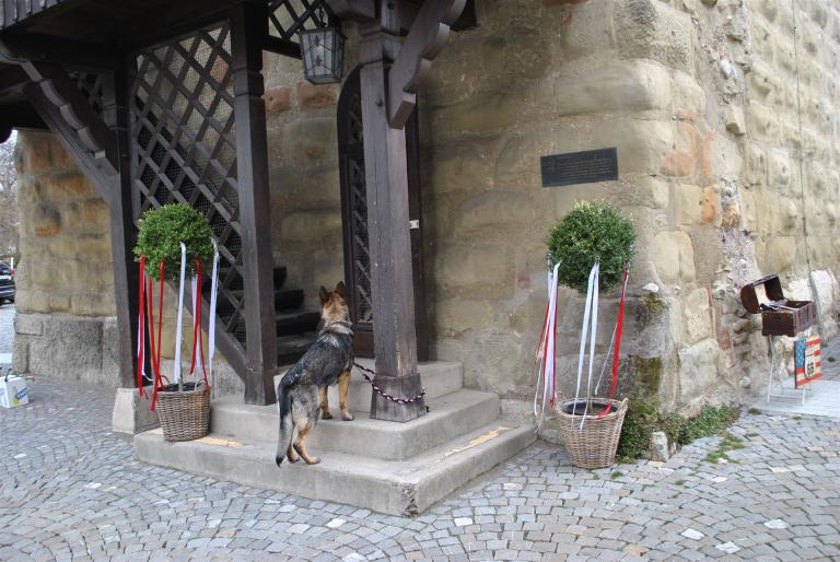 Der geschmückte Pulverturm von Zofingen - bewacht von einer Schäferhündin